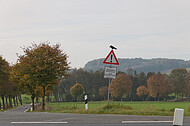 Straßenschild mit Vogel