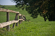 Holzweidezaun
