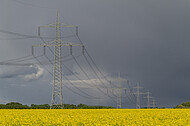 Rapsfeld vor Gewitter