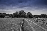 Weidezaun auz Holz