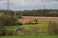 Bauernhaus im Frühling