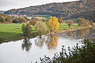 Bäume an Weserufer