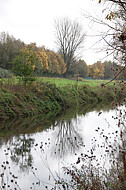 Spiegelnder Fluß
