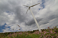 Windkraftanlage