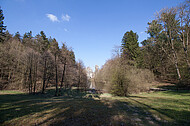 Externstein durch Bäume