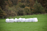 Silageballen