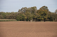 Roter Ackerboden