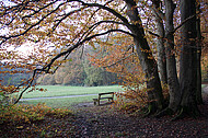 Sitzbänke im Herbstwald