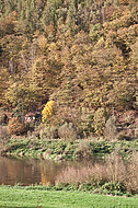 Herbstliches Weserufer