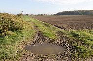 Pfütze auf Feldweg