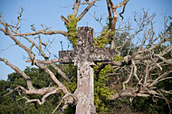 Französischer Friedhof
