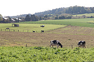 Blick übers Land