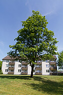 Hausansichten Sennestadt