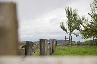Weidezaun auz Holz