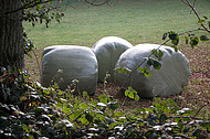 Drei Silageballen
