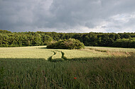 Nahendes Gewitter