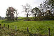 Weidezaun mit Holzpfosten