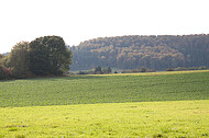 Acker vor Bergrücken