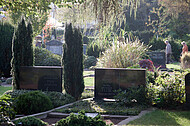 Friedhofszene im Gegenlicht