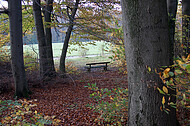 Sitzbänke im Herbstwald