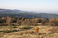 Blick vom Aussichtsturm