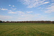 blauer Wolkenhimmel