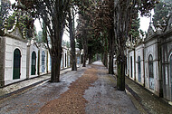 Friedhof Lissabon