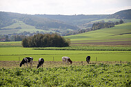 Blick übers Land