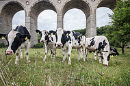 Viadukt Altenbeken