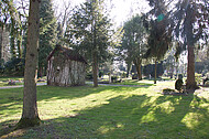 Friedhof im Gegenlicht