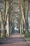 Friedhofsallee