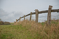Holzweidezaun