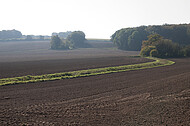 Acker im Gegenlicht
