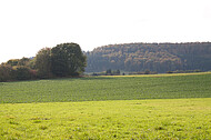 Acker vor Bergrücken