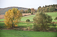 Blick auf die Weser