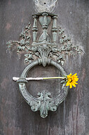Friedhof Lissabon