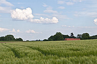 Verstecktes Bauernhaus