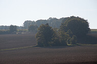 Acker im Gegenlicht