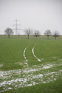 Schneespuren auf grünem Acker