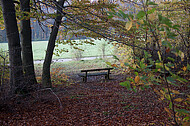 Sitzbänke im Herbstwald