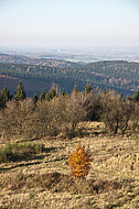 Blick vom Aussichtsturm