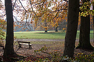 Sitzbänke im Herbstwald