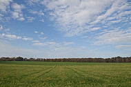 blauer Wolkenhimmel