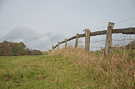 Holzweidezaun